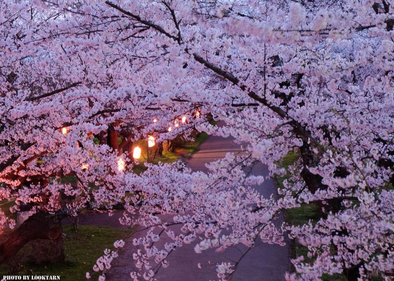 vẻ đẹp huyền ảo khi được chiếu sáng vào ban đêm